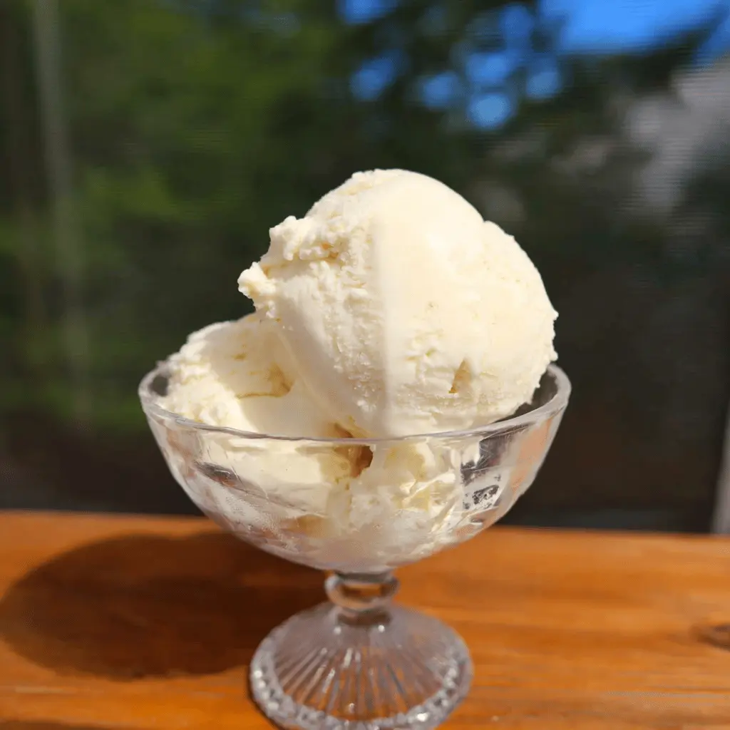 Easy Homemade Vanilla Ice Cream Recipe